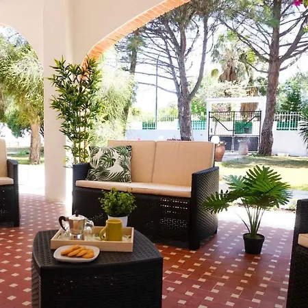 Brezza Marina With Beautiful Garden Guest house *